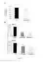 Fig. 04 - Methods and Compositions for Preventing Metastasis and for Improving the Survival Time