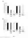 Fig. 06 - Methods and Compositions for Preventing Metastasis and for Improving the Survival Time