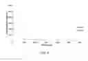Fig. 06 - FKBP52 TARGETING AGENT PHARMACEUTICAL COMPOSITIONS