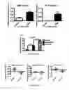 Fig. 06 - Prevention of rosacea inflammation