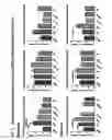 Fig. 02 - Methods of treating muscular dystrophy