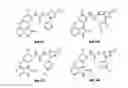 Fig. 01 - 1-(5-tert-butyl-2-phenyl-2H-pyrazol-3-yl)-3-[2-fluoro-4-(1-methyl-2-oxo-2,3-dihydro-1H-imidazo[4,5-B]pyridin-7-yloxy)-phenyl]-urea and related compounds and their use in therapy