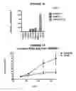 Fig. 07 - 1-(5-tert-butyl-2-phenyl-2H-pyrazol-3-yl)-3-[2-fluoro-4-(1-methyl-2-oxo-2,3-dihydro-1H-imidazo[4,5-B]pyridin-7-yloxy)-phenyl]-urea and related compounds and their use in therapy