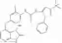 Fig. 17 - 1-(5-tert-butyl-2-phenyl-2H-pyrazol-3-yl)-3-[2-fluoro-4-(1-methyl-2-oxo-2,3-dihydro-1H-imidazo[4,5-B]pyridin-7-yloxy)-phenyl]-urea and related compounds and their use in therapy