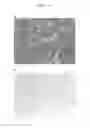 Fig. 08 - Agent for promoting corneal endothelial cell adhesion