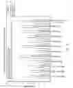 Fig. 15 - Methods of acute restoration of vascular compliance