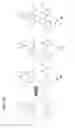 Fig. 12 - METHODS OF TREATING B2-BRADYKININ RECEPTOR MEDIATED ANGIOEDEMA