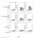 Fig. 04 - COMPOSITION AND METHOD FOR TREATING OR PREVENTING SKELETAL MUSCLE FIBROSIS