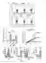 Fig. 04 - Methods for the treatment of autoimmune diseases