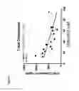 Fig. 07 - NIACIN MIMETICS, AND METHODS OF USE THEREOF