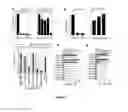 Fig. 06 - METHODS AND COMPOSITIONS FOR MODULATING REGULATORY T CELL FUNCTION