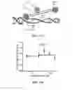 Fig. 19 - Methods and compositions of p27transcriptional modulators