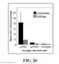 Fig. 22 - Methods and compositions of p27transcriptional modulators