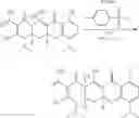 Fig. 08 - Minocycline Derivatives