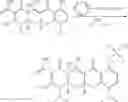 Fig. 09 - Minocycline Derivatives