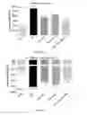 Fig. 13 - COMPOSITIONS AND METHODS FOR TREATING ALLERGIC CONDITIONS