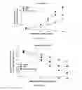 Fig. 17 - COMPOSITIONS AND METHODS FOR TREATING ALLERGIC CONDITIONS