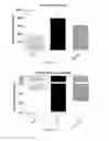Fig. 18 - COMPOSITIONS AND METHODS FOR TREATING ALLERGIC CONDITIONS