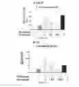 Fig. 22 - COMPOSITIONS AND METHODS FOR TREATING ALLERGIC CONDITIONS