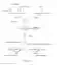 Fig. 15 - MicroRNAs and uses thereof
