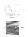 Fig. 10 - IMMUNOMODULATING COMPOUNDS AND RELATED COMPOSITIONS AND METHODS
