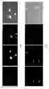 Fig. 06 - MAMMALIAN PLURIPOTENT STEM CELLS, METHODS FOR THEIR PRODUCTION, AND USES THEREOF