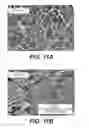 Fig. 18 - METHODS FOR SELECTION OF AGE-APPROPRIATE TISSUES