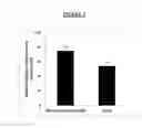 Fig. 12 - SELECTIVE NOX-1 INHIBITOR PEPTIDES AND USES THEREOF