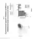 Fig. 06 - Antiangiogenic small molecules and methods of use