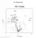 Fig. 28 - Antiangiogenic small molecules and methods of use