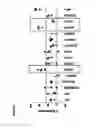Fig. 02 - COMPOSITIONS AND METHODS FOR INHIBITING VIRAL ACTIVITY