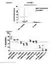 Fig. 10 - COMPOSITIONS AND METHODS FOR INHIBITING VIRAL ACTIVITY