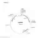 Fig. 09 - Therapeutic agents comprising a GLP-2 peptide and elastin-like peptides