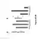 Fig. 04 - Compositions and Methods for Treatment of Stroke