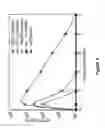 Fig. 07 - Compositions and Methods for Treatment of Stroke