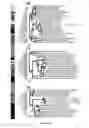 Fig. 04 - ANTIMICROBIAL MURAMIDASE