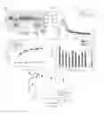 Fig. 02 - TARGETED ELIMINATION OF FACTOR VIII IMMUNE CELLS