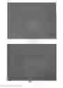 Fig. 04 - Method of Induction and Purification of a Cell Population Responsible for Vascular Mimicry and Use of Same