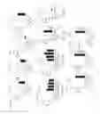 Fig. 04 - Augmenting the immune response by promoting cell death of immune cells
