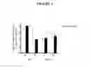 Fig. 04 - Swine influenza viruses and constructs and uses thereof