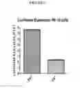 Fig. 14 - Swine influenza viruses and constructs and uses thereof