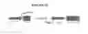 Fig. 19 - Swine influenza viruses and constructs and uses thereof