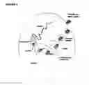 Fig. 16 - Immune modulation