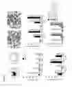 Fig. 04 - ENHANCEMENT OF VACCINES