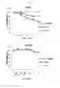 Fig. 02 - Biomarker Hsp90 for predicting effect of a c-Met inhibitor