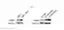 Fig. 04 - Biomarker Hsp90 for predicting effect of a c-Met inhibitor