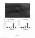 Fig. 06 - Methods of treating neurodegenerative conditions