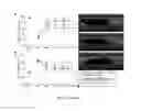 Fig. 13 - Methods of treating neurodegenerative conditions