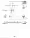 Fig. 14 - Methods of Treating Pancreatic Cancer