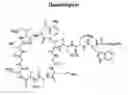 Fig. 01 - Lipopeptide compositions and related methods